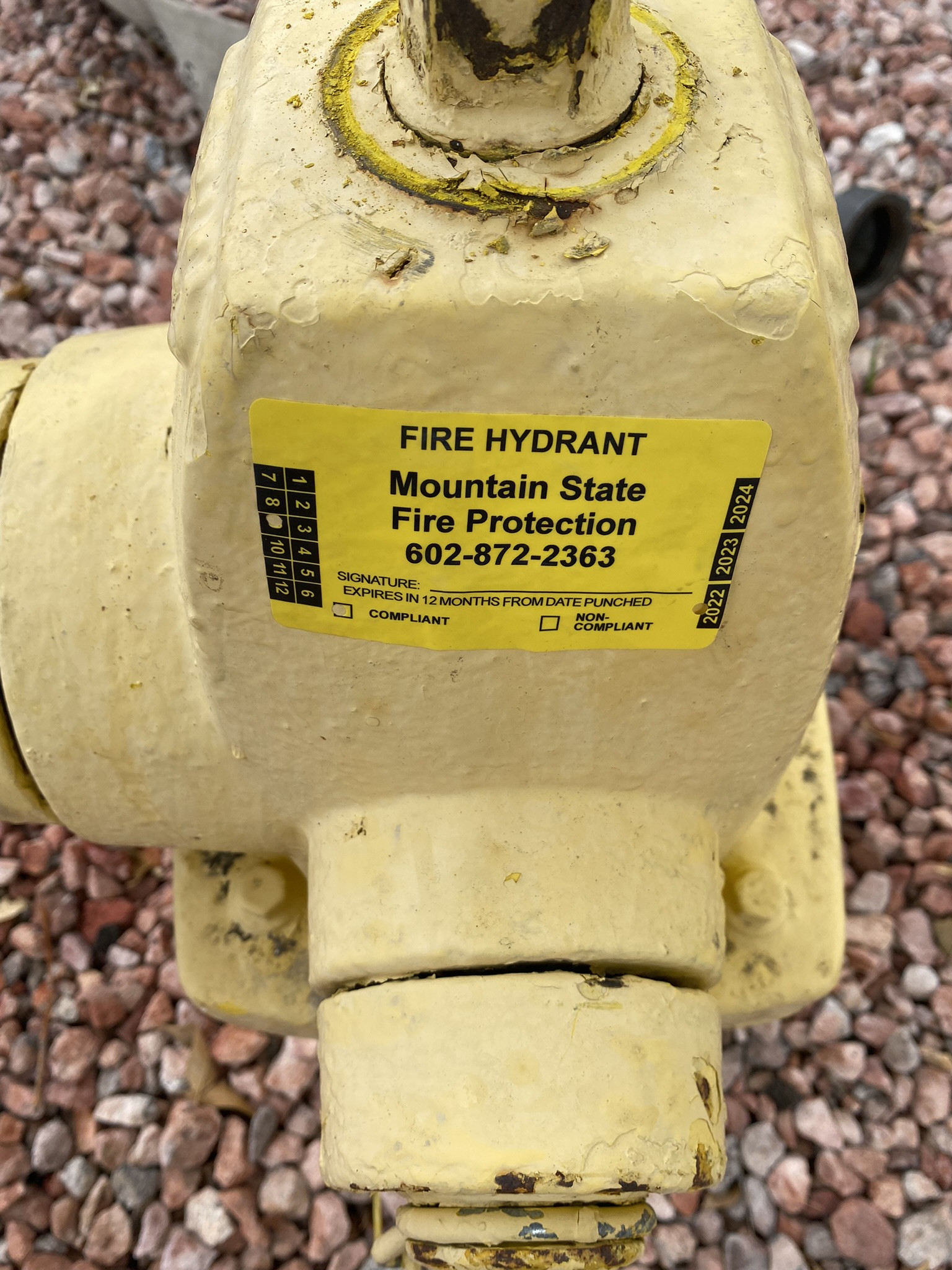 Fire Hydrants 1